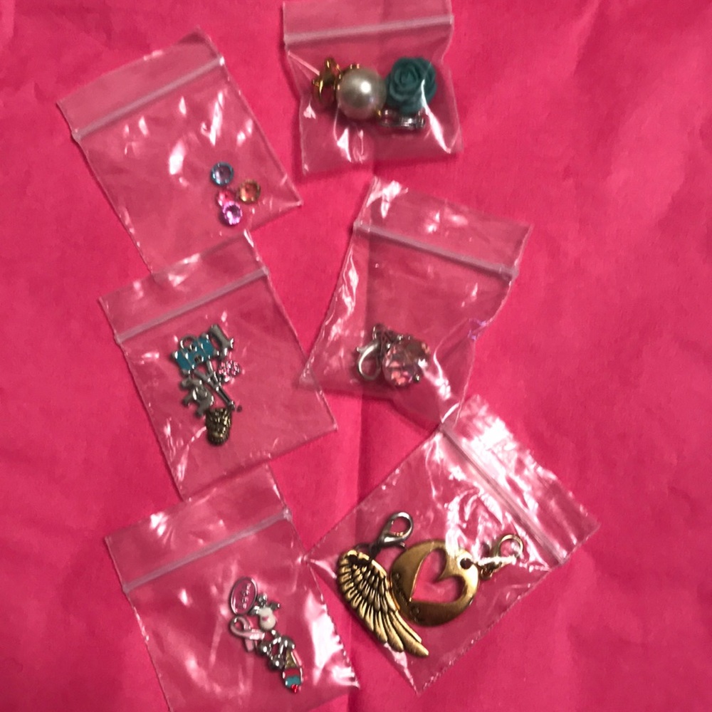 Origami Owl Charms and Locket Charms